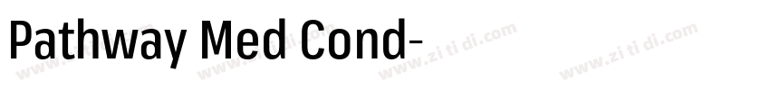 Pathway Med Cond字体转换 Pathway Med Cond字体转换